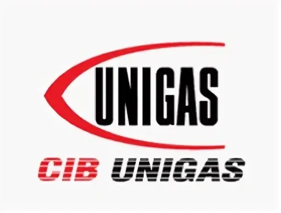 Выпускается компанией Cib UNIGAS.